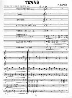 texas-cond1.jpg (261703 octets)